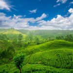 Viaje desde salamanca a Sri Lanka oferta limitada